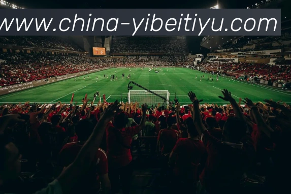 易倍体育服务体系